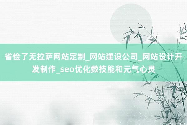 省俭了无拉萨网站定制_网站建设公司_网站设计开发制作_seo优化数技能和元气心灵