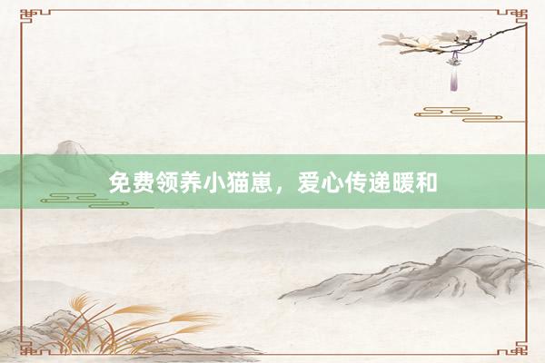 免费领养小猫崽，爱心传递暖和